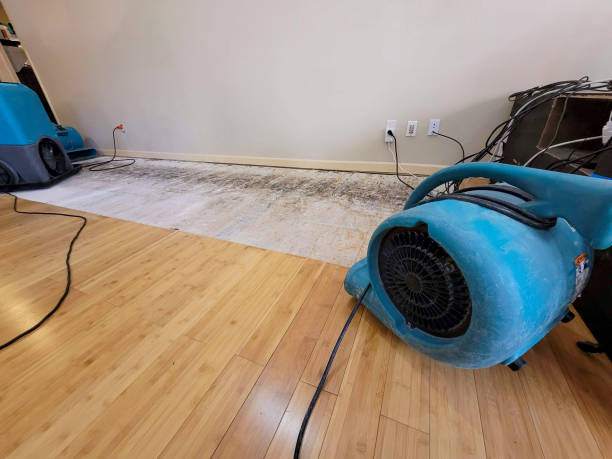 Professional Water Removal technician working in Springboro, OH